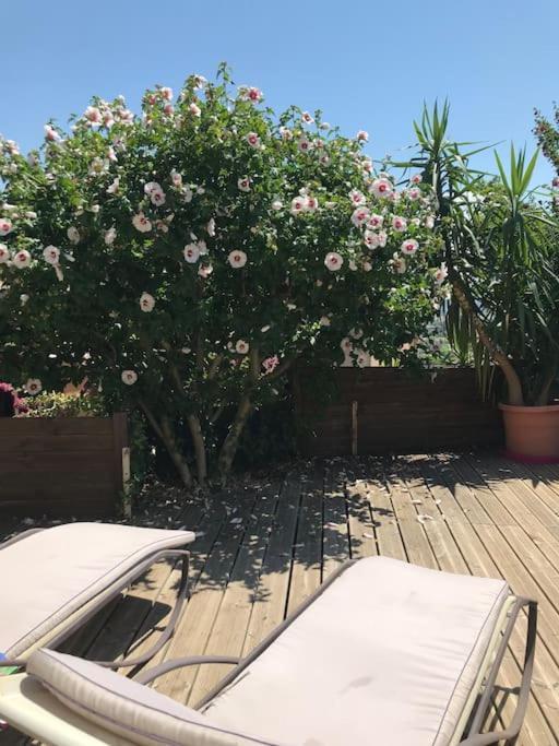 Appartement Sur La Colline Avec Acces Piscine Volx Esterno foto